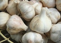 Manfaat bawang putih untuk pengobatan