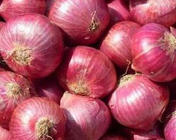 bawang merah