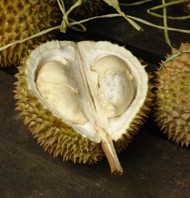 Manfaat Buah Durian