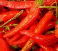 manfaat cabe rawit