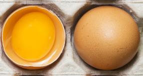 manfaat telur bagi kesehatan