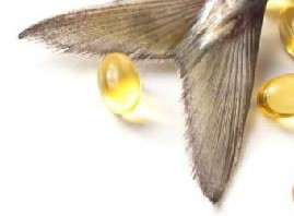Khasiat Manfaat Minyak Ikan Bagi Kesehatan