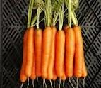 Manfaat dan kandungan gizi pada wortel
