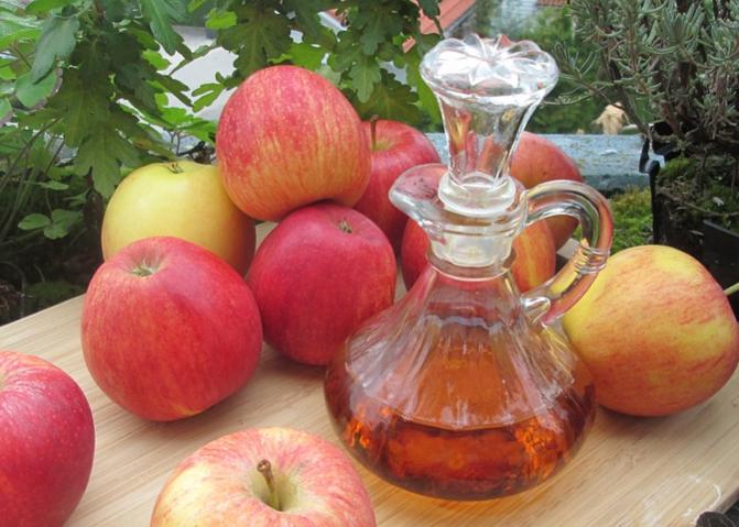 Manfaat Cuka apel bagi kesehatan