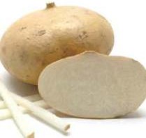 Manfaat bengkoang