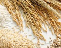 Manfaat vitamin B1 (thiamine)