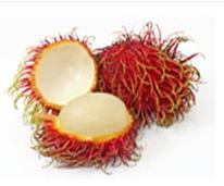 manfaat rambutan