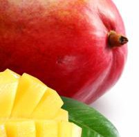 Kandungan nutrisi dan manfaat buah mangga