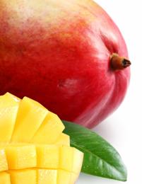 Kandungan nutrisi dan manfaat buah mangga
