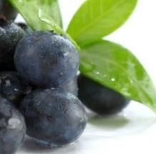 Manfaat makan buah blueberry bagi kesehatan