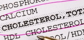 kolesterol HDL dan Kolesterol LDL