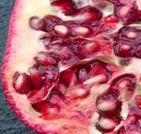 Manfaat buah delima bagi kesehatan dan kecantikan