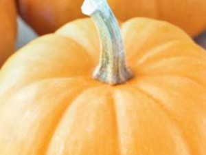 makanan tinggi betakaroten